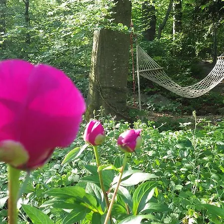 Affittacamere Im Sonnenbuhl *