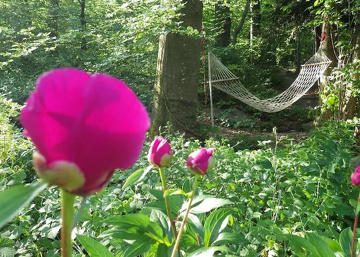 Guest house Im Sonnenbuhl *