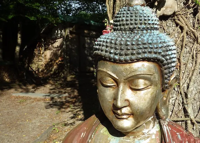 إم سونينبوهل * زيورخ