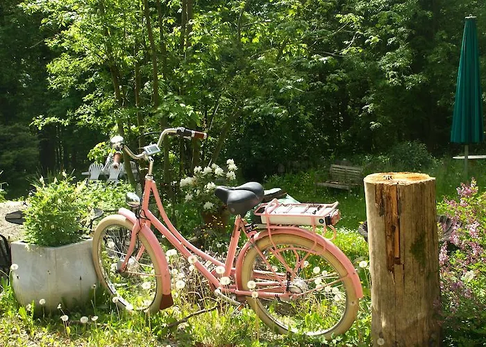 إم سونينبوهل *