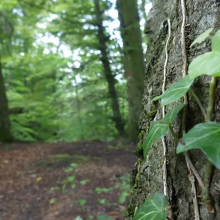 索内比赫尔旅馆 招待所