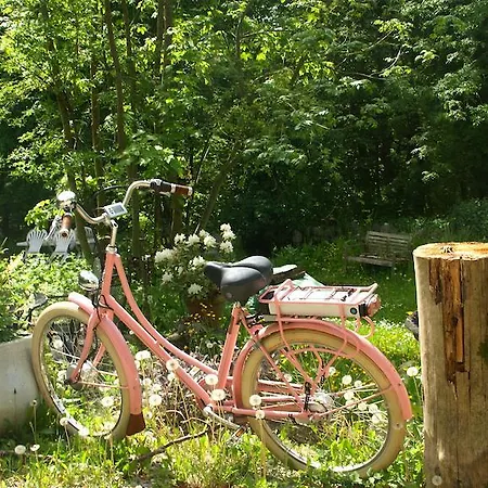 索内比赫尔旅馆 *